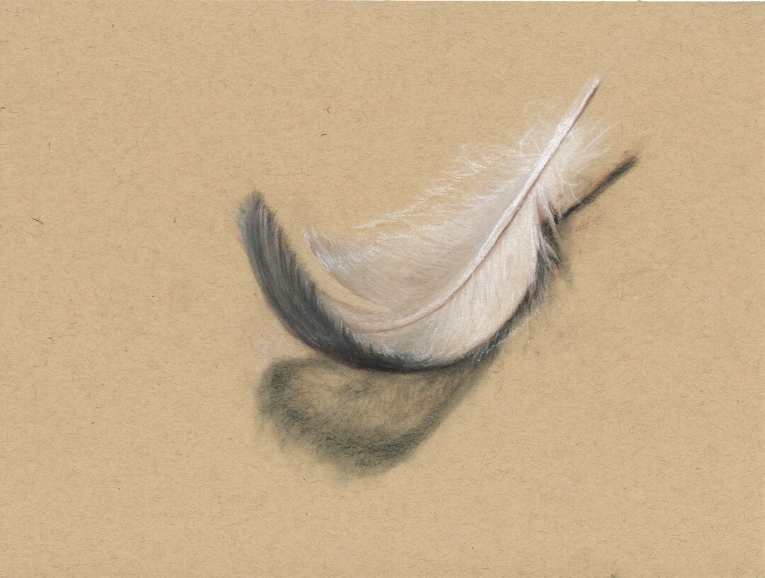 Dessin de plumes au fusain - Etsy France