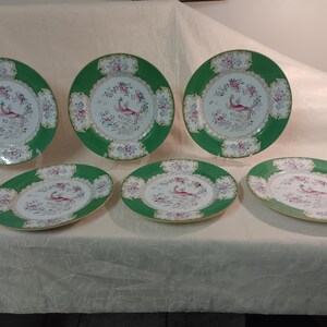May include: Set of six green and white porcelain dinner plates with a gold trim. Each plate features a delicate floral design and a colorful bird in the center.