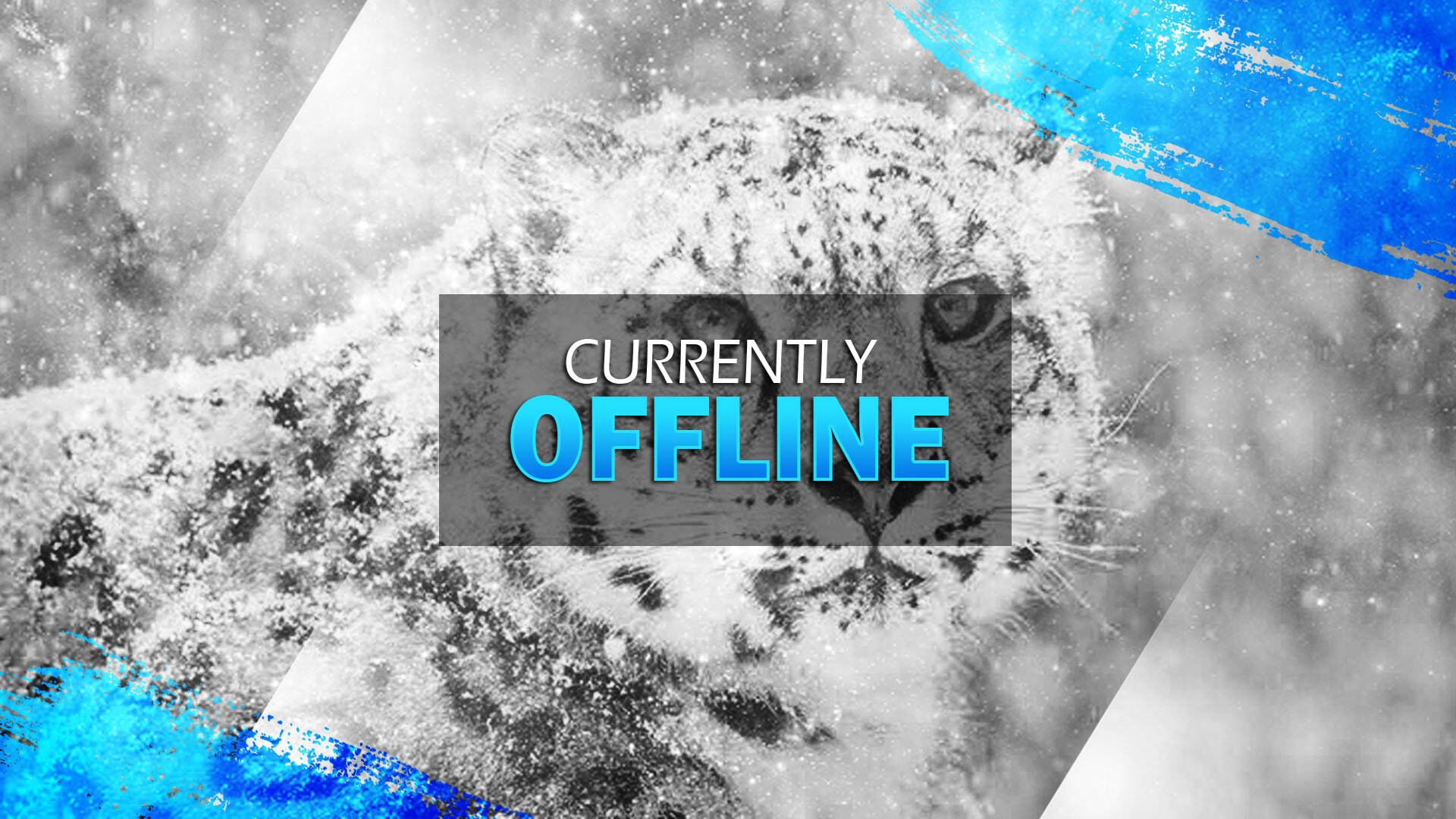 Snow Leopard Themed Twitch Overlaytwitch Overlay Packageanimated Twitch