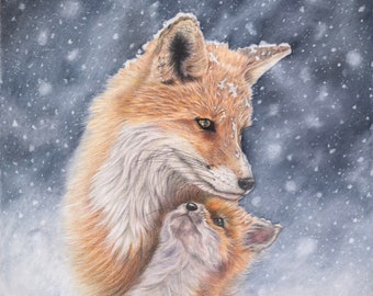 Fox and cub, coloured pencil drawing print, wildlife art, artwork signed by collectable artist Paula Mignucci, giclée print