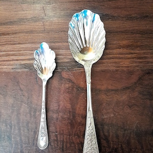 Op de afbeelding: Twee antieke zilveren serveerlepels met schelpvormige kommen en sierlijke handvatten. De lepels worden getoond op een donker houten oppervlak. De grotere lepel is ongeveer 20 cm lang, terwijl de kleinere lepel ongeveer 13 cm lang is.