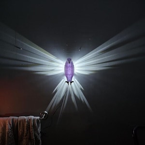 May include: A purple owl-shaped wall lamp casting a bright, fan-like light pattern on a dark wall. The lamp is mounted on the wall, with a towel rack and towels visible below. The light creates a dramatic effect.