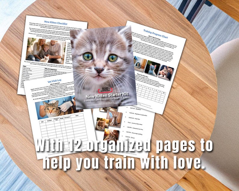 New Kitten Starter Kit: A Printable PDF Bundle - Etsy