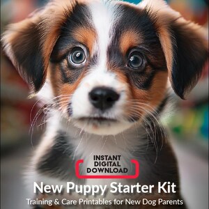 May include: A close-up of a brown, black, and white puppy with big, blue eyes. The puppy is looking directly at the camera. The text "INSTANT DIGITAL DOWNLOAD" is in a red box at the bottom of the image. The text "New Puppy Starter Kit" is in large, black letters below the red box. The text "Training & Care Printables for New Dog Parents" is in smaller, black letters below the title.
