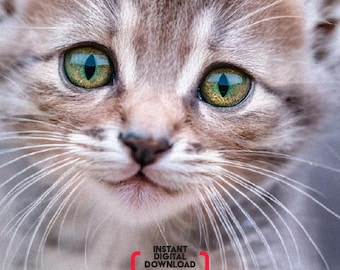 New Kitten Starter Kit: A Printable PDF Bundle