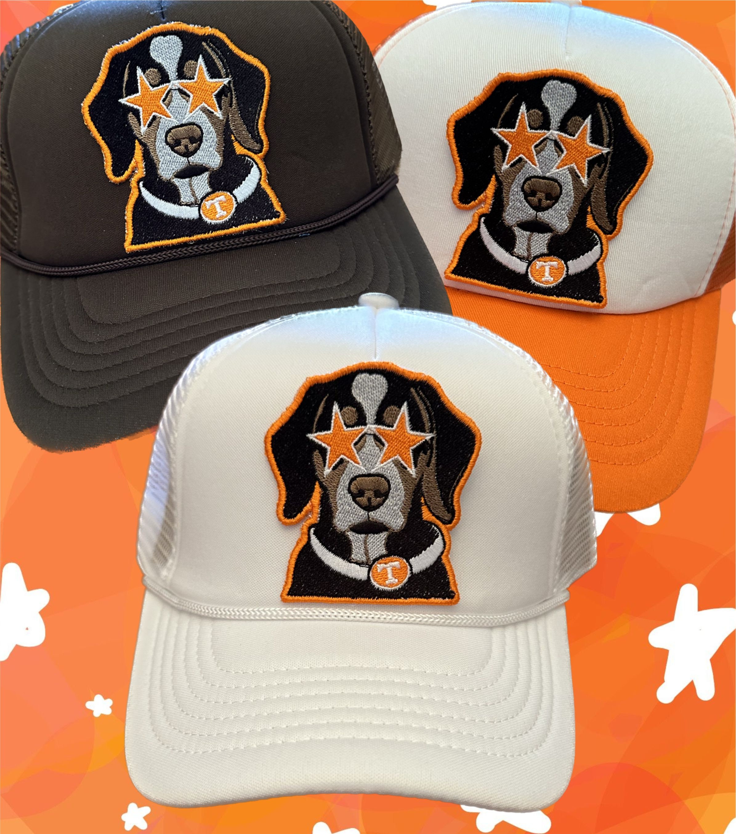 Custom Game Day Preppy Starry Eyes Bluetick Coonhound