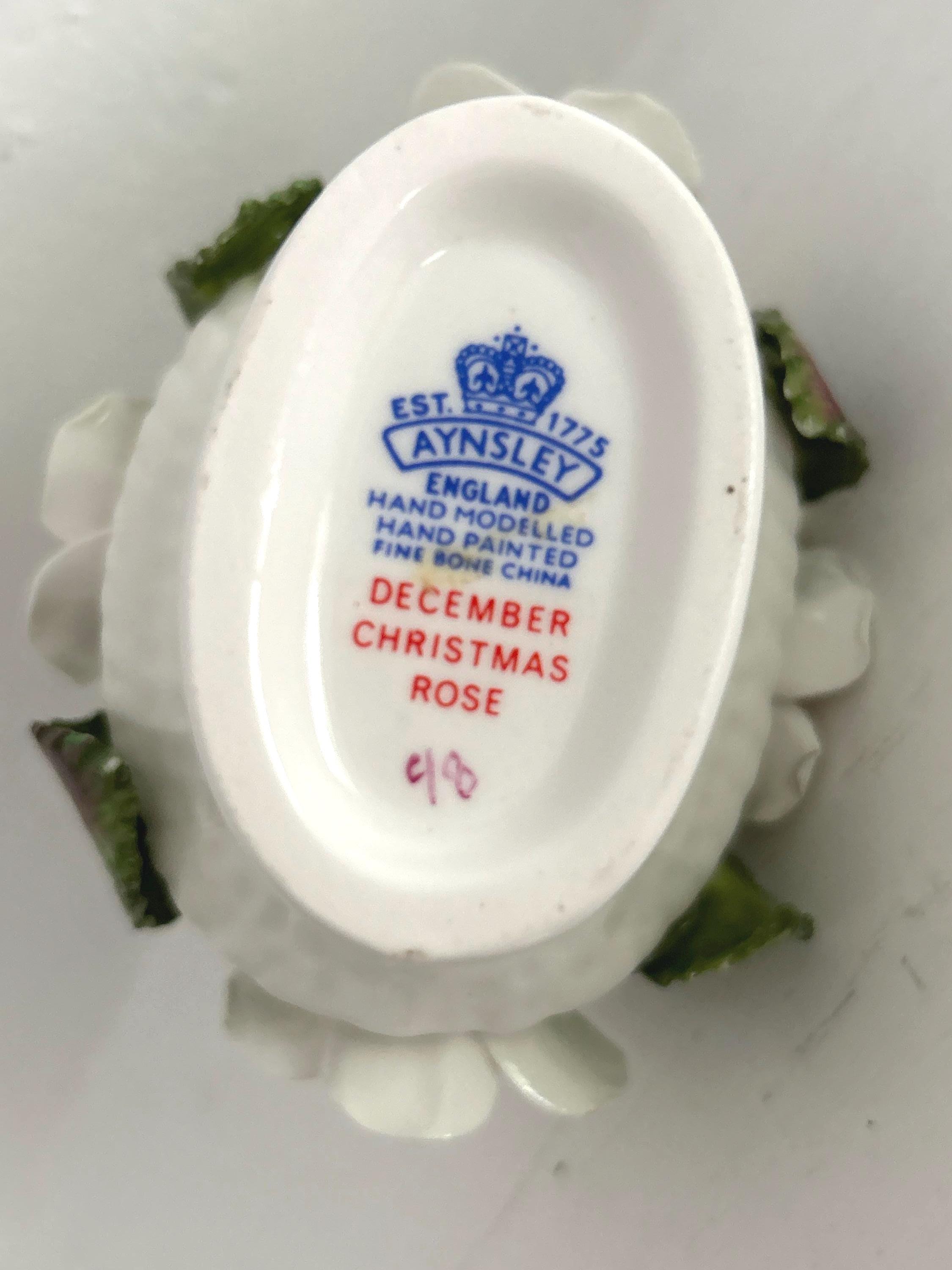 Rare Aynsley December Flower Basket: Bone China Christmas Rose