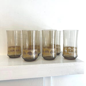 May include: Set of six vintage highball glasses. The clear glasses have a brown tint and a decorative gold seashell design around the base. The glasses are displayed on a white shelf against a white wall.