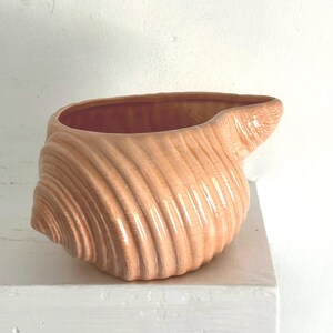 May include: A peach-colored ceramic planter shaped like a conch shell. The vessel features a glossy finish with prominent, raised spiral ridges that mimic the natural texture of a seashell, creating a wide, open top for holding small items.