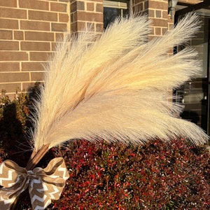 44&quot; pampas branch Tall Artificial Faux Pampass Grass weddings driftwood  （6pcs）