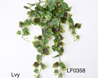 30&quot;Every day spring Grape Ivy Bush Maple Bush wedding Housewarming Gift -Gift Ideas