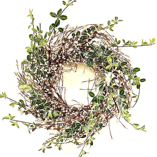 Spring every day front door pip berry wreath Eucalyptus wreaths for front door year round weddings Gift wreaths 24"