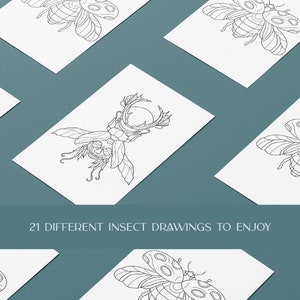 insect bug digital coloring book pages print at home and png images. adult coloring pages and coloring book for kids pdf.