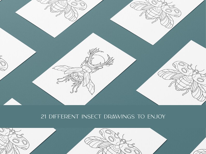 insect bug digital coloring book pages print at home and png images. adult coloring pages and coloring book for kids pdf.