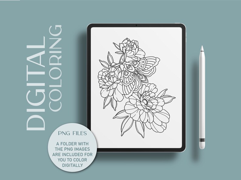 insect bug digital coloring book pages print at home and png images. adult coloring pages and coloring book for kids pdf.