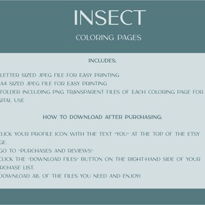 insect bug digital coloring book pages print at home and png images. adult coloring pages and coloring book for kids pdf.