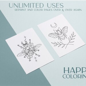 insect bug digital coloring book pages print at home and png images. adult coloring pages and coloring book for kids pdf.
