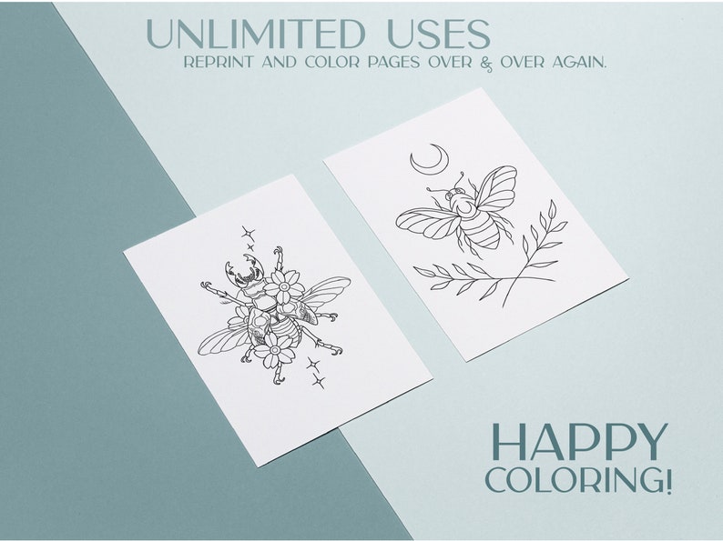 insect bug digital coloring book pages print at home and png images. adult coloring pages and coloring book for kids pdf.