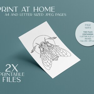 insect bug digital coloring book pages print at home and png images. adult coloring pages and coloring book for kids pdf.