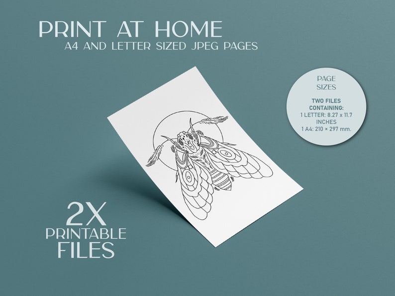 insect bug digital coloring book pages print at home and png images. adult coloring pages and coloring book for kids pdf.