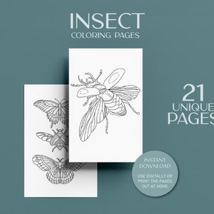 insect bug digital coloring book pages print at home and png images. adult coloring pages and coloring book for kids pdf.