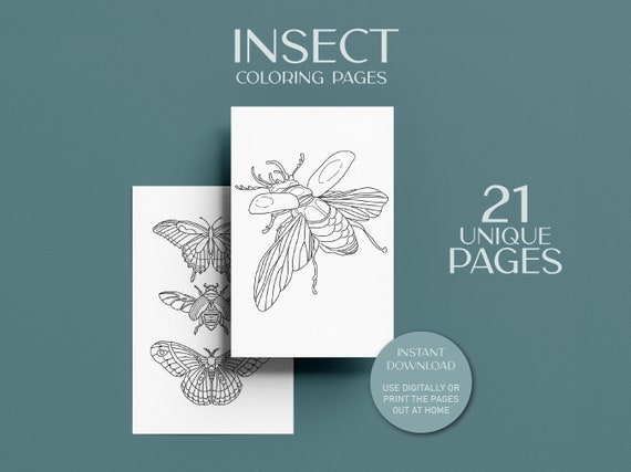 21 Insect Coloring Pages: Print at Home Adult Coloring Book (Digital Download)
