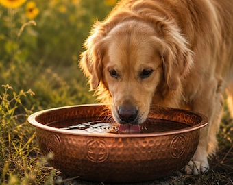 Bol à eau pour chien en cuivre martelé fait main - Bol pour animal de compagnie d'extérieur rustique - Bol à eau de jardin de luxe pour chiens - Bassin pour animal de compagnie en cuivre artisanal