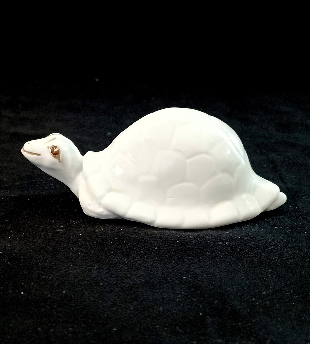 Vintage Coalport Boast China Turtle Figurine, Fine Bone China. England ...