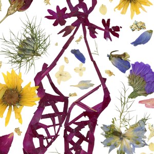 Puede incluir: Un par de zapatillas de ballet moradas hechas de flores y hojas prensadas. Las zapatillas est&aacute;n rodeadas de una variedad de flores y hojas, incluyendo girasoles, flores azules y hojas verdes. Las zapatillas est&aacute;n decoradas con un lazo hecho de flores moradas.