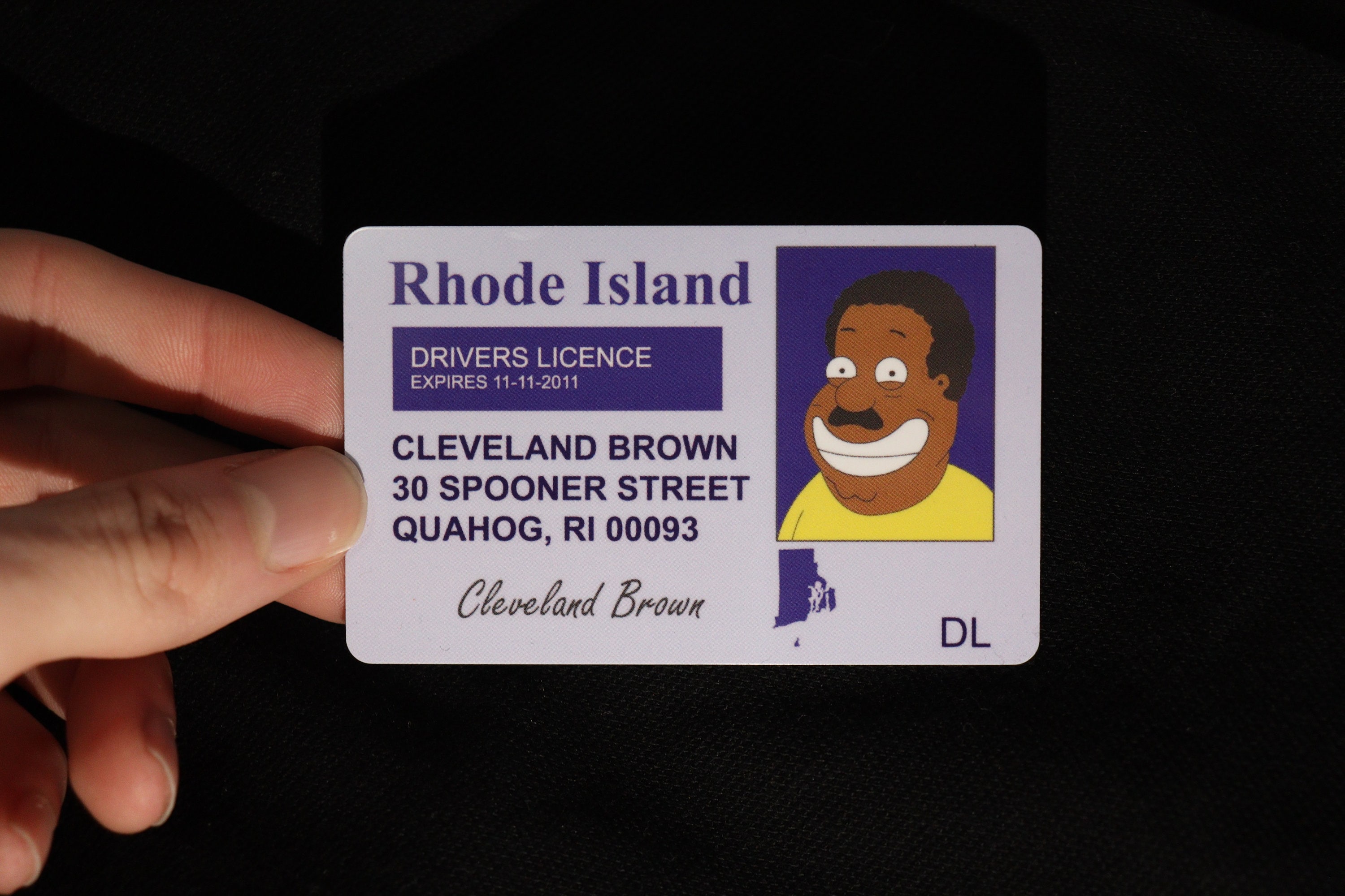 Family Guy Novelty ID Cards Etsy UK