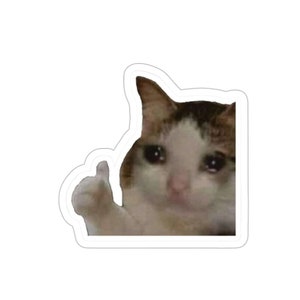 Crying Cat Thumbs Up Vinyl Sticker, Funny Sticker, Cat Sticker, Meme Sticker