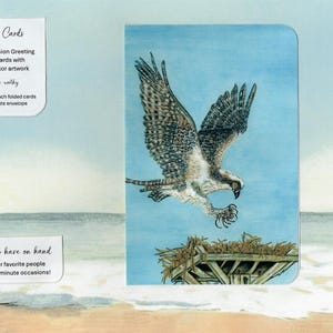 Osprey Watercolor Note Card. Coastal Sea Bird,