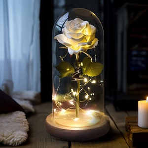 Rosa eterna sotto cupola di vetro a LED - Regalo romantico per San Valentino, matrimonio, anniversario - Decorazione La Bella e la Bestia, Galassia