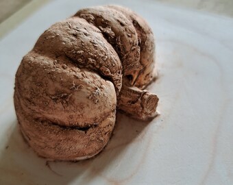 Terracotta Pumpkin Casting: Plaster Wall Decor