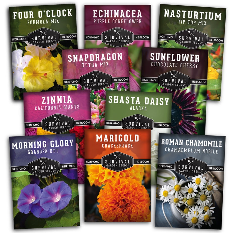 10 Heirloom Flower Seed Packets Chamomile Seeds, Daisy Seeds, Echinacea