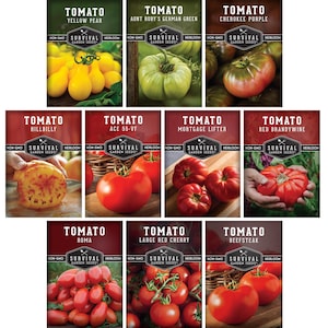 10 Tomato Collection - 10 Non-GMO, Heirloom Tomato Seed Packets - Cherokee Purple, Roma, Great White, Beefsteak, Pear, Green and more