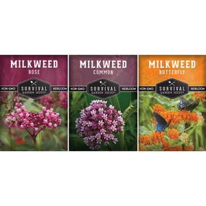 Milkweed Seed Kit - 3 Heirloom Milkweed Seed Packets for attracting Monarchs - Rose Milkweed, Butterfly Milkweed, Common Milkweed