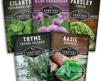 Heirloom Culinary Herb Seeds – 5 Non-GMO Varieties