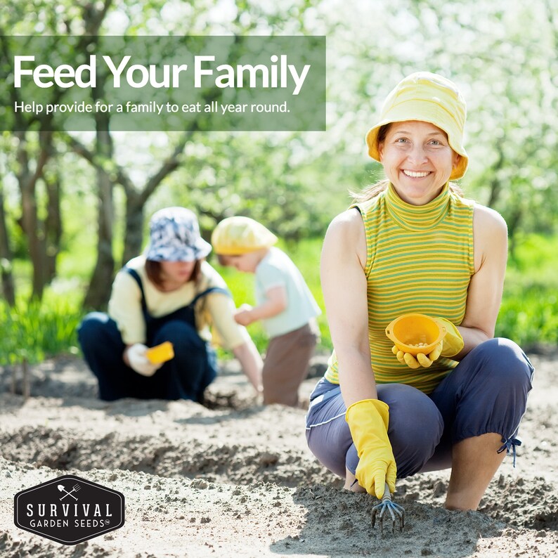 Feed your family with a survival garden