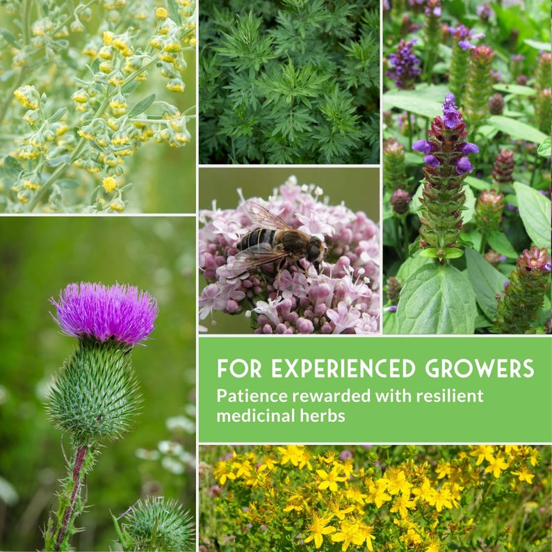 Various flowering herbs with text about them being for experienced growers