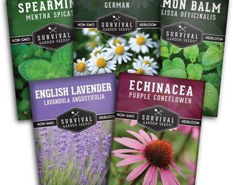 Herbal Tea Seed Collection – Grow 5 Medicinal Herbs for Tea