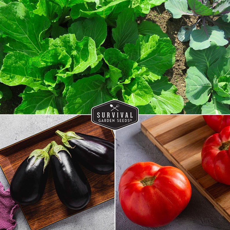 heirloom vegetables
