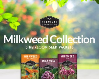 Heirloom Milkweed Seed Kit: Monarch Butterfly Garden (3 Packets)