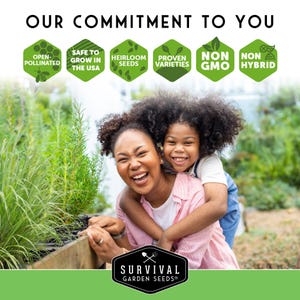 Our commitment to you - non GMO, non-hybrid, Heirloom seeds with no pesticides