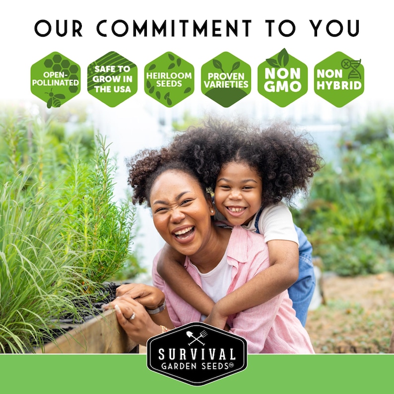 Our commitment to you - non GMO, non-hybrid, Heirloom seeds with no pesticides
