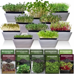 Microgreens Seeds - 10 Pack of Non-GMO Heirloom Microgreens Seeds- Arugula, Alfalfa, Broccoli, Buckwheat, Radish, Sunflower & More