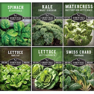 Hydroponic Vegetable Seed Collection – Heirloom Non-GMO Greens for Indoor Gardening