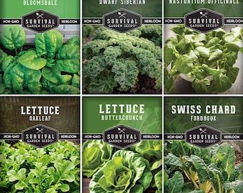 Hydroponic Vegetable Seed Collection – Heirloom Non-GMO Greens for Indoor Gardening