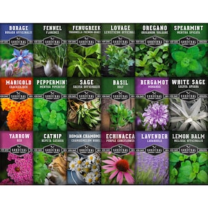 Survival Medicinal Herb Seeds - 18 Non-GMO, Heirloom Herb Seed Packs - Lavender Seeds, Chamomile Seeds, Echinacea, Bergamot, Mint, Sage