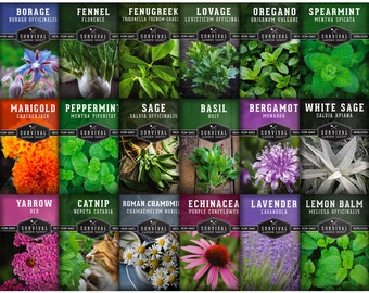 Survival Medicinal Herb Seeds - 18 Non-GMO, Heirloom Herb Seed Packs - Lavender Seeds, Chamomile Seeds, Echinacea, Bergamot, Mint, Sage